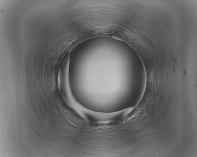 X0000073710868200608031237