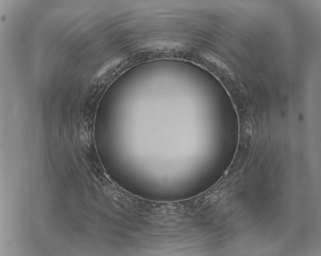 X0000073710869200608031237