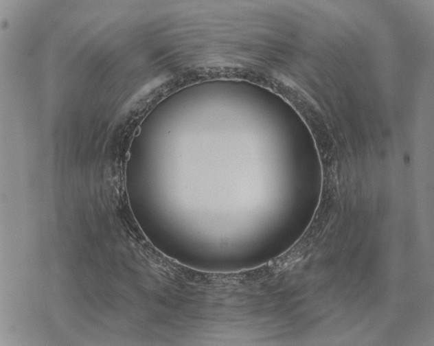 X0000073710870200608031237