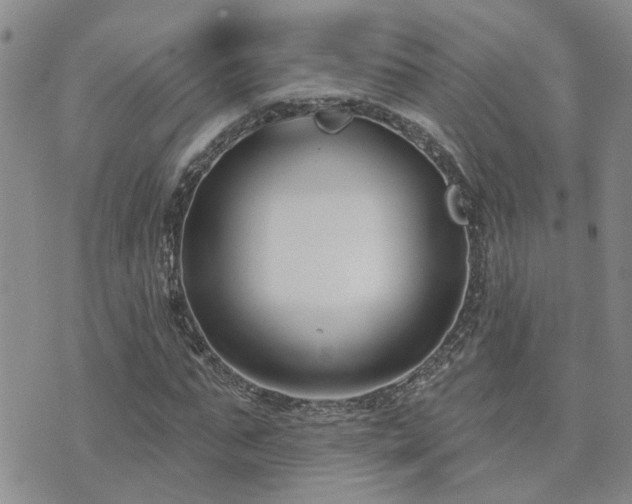 X0000073710871200608031237