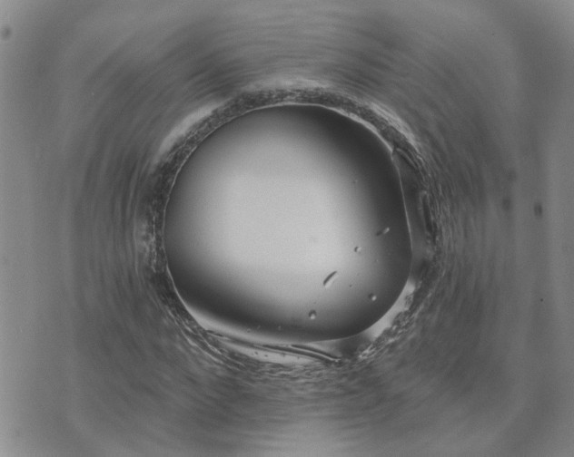 X0000073710872200608031237