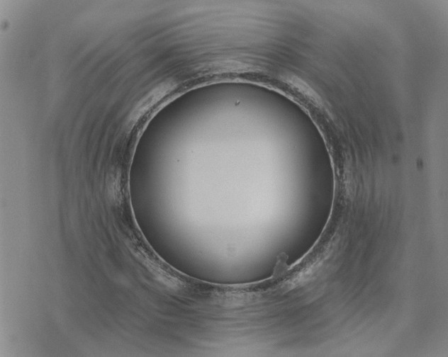 X0000073710873200608031237