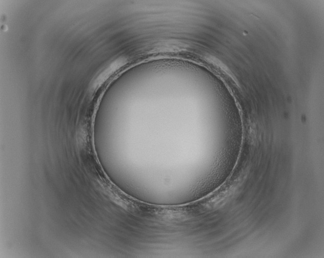 X0000073710874200608031237