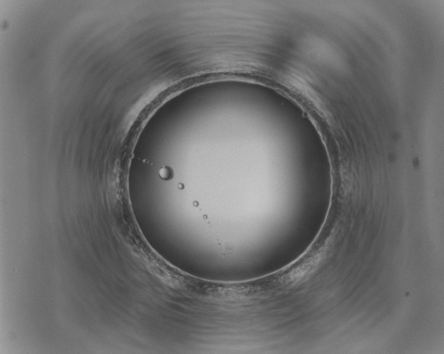 X0000073710875200608031237