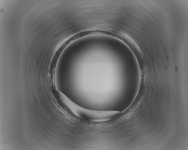 X0000073710876200608031237