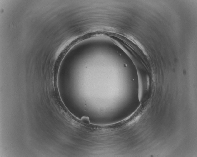 X0000073710877200608031237