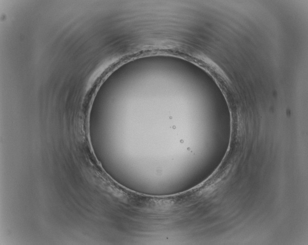 X0000073710878200608031237