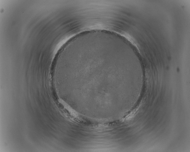 X0000073710879200608031237