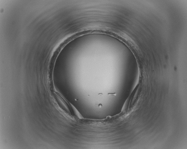 X0000073710880200608031237