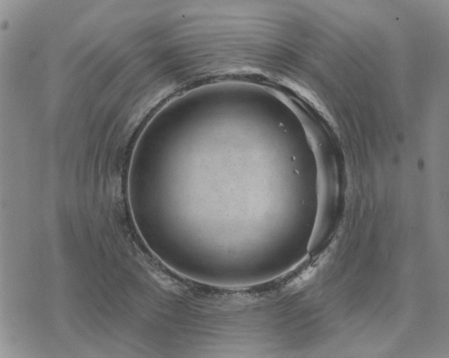 X0000073710881200608031237