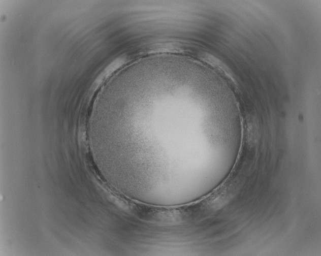 X0000073710882200608031237