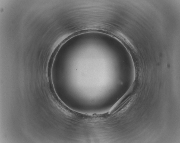 X0000073710884200608031237