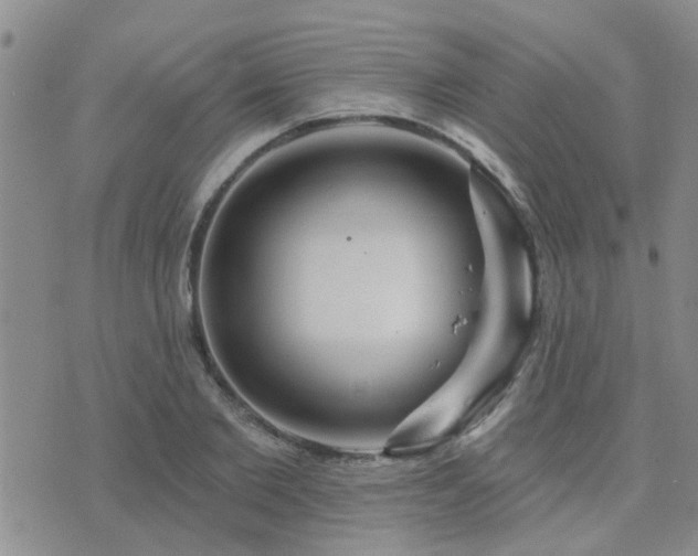 X0000073710885200608031237