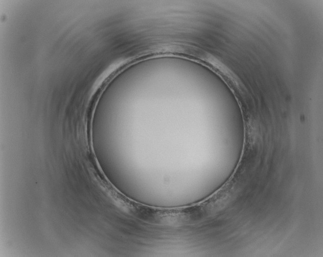 X0000073710886200608031237