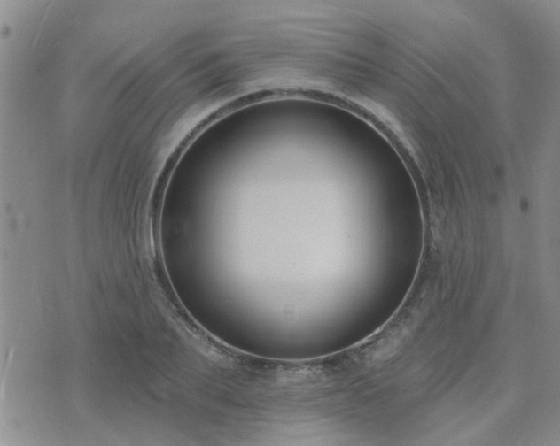 X0000073710887200608031237