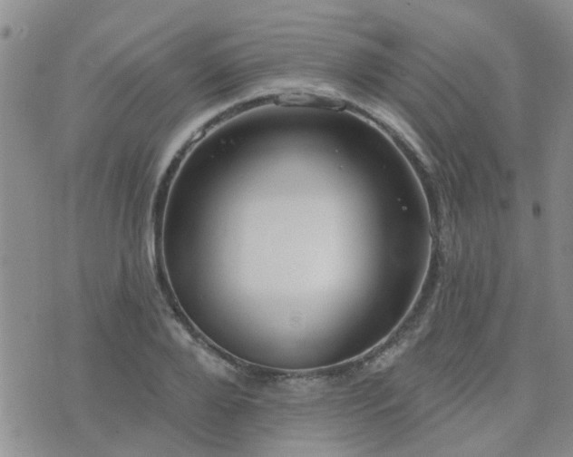 X0000073710888200608031237