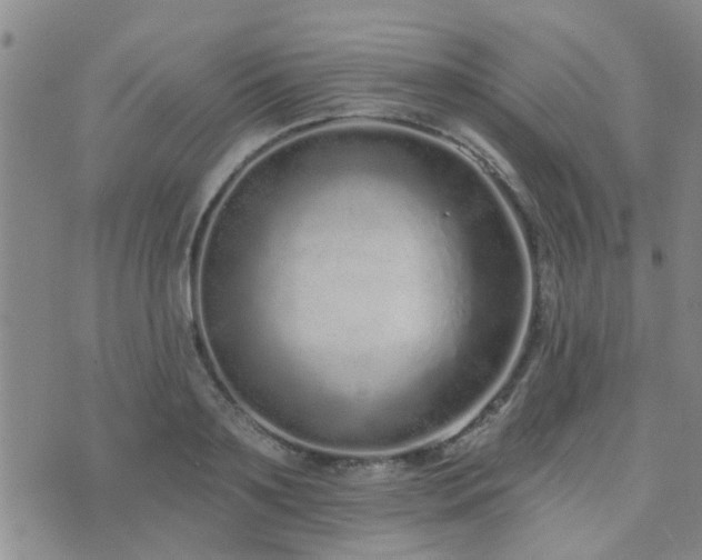 X0000073710891200608031237