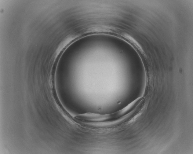 X0000073710893200608031237