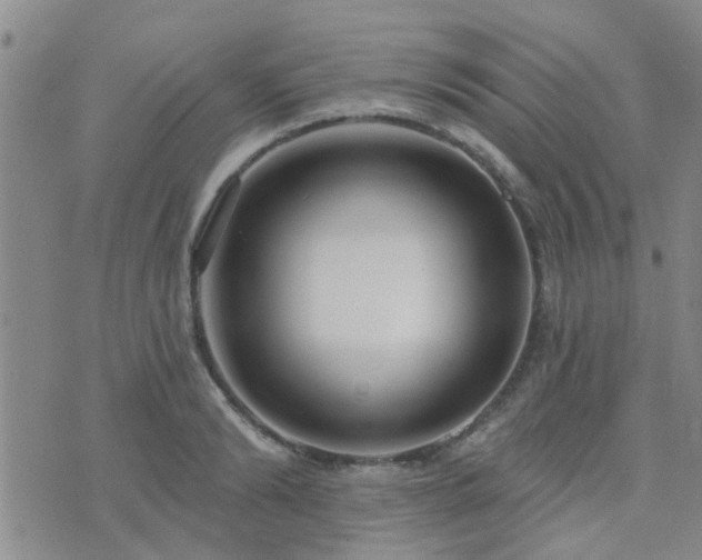 X0000073710894200608031237