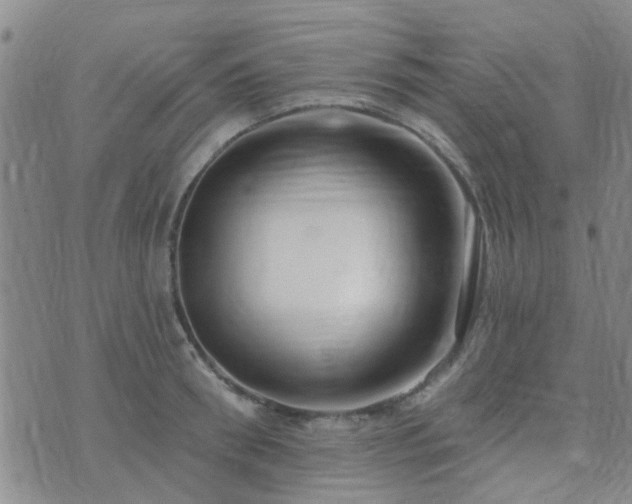 X0000073710898200608031236