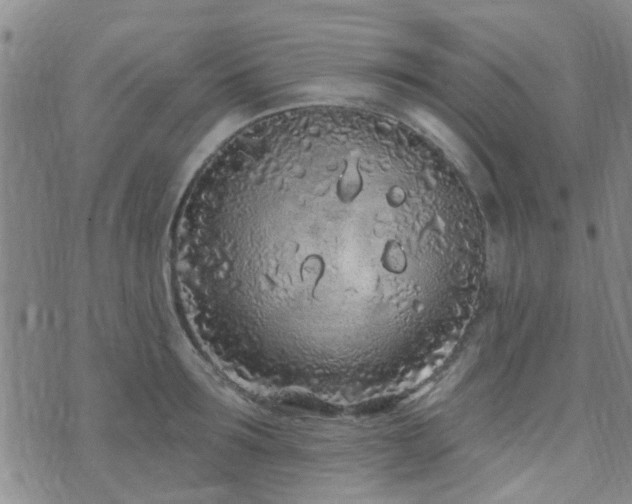 X0000073710899200608031236