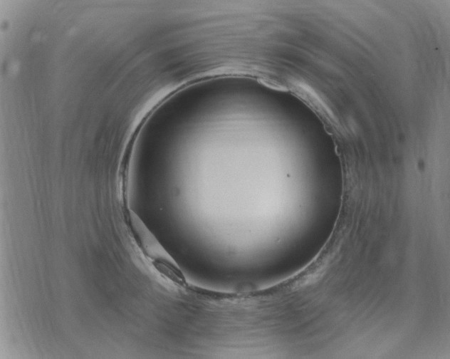 X0000073710900200608031236