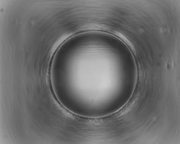 X0000073710901200608031236