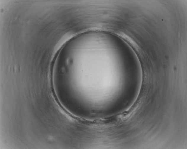 X0000073710902200608031236