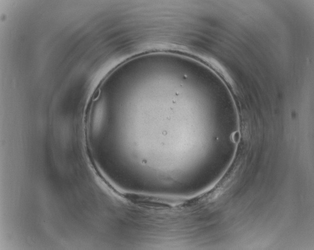 X0000073710903200608031236