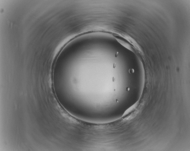 X0000073710904200608031236