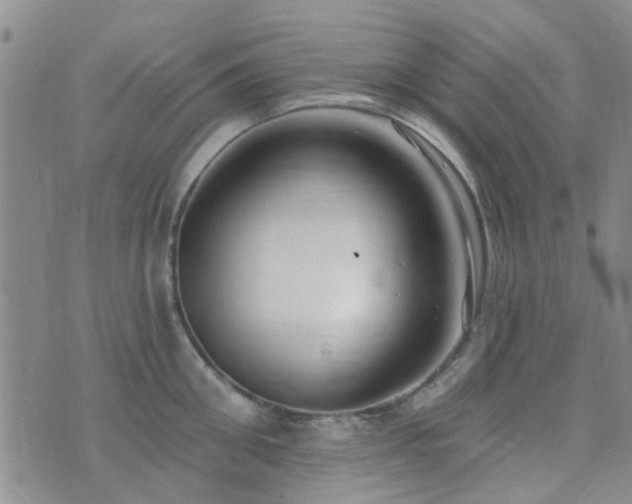 X0000073710906200608031236