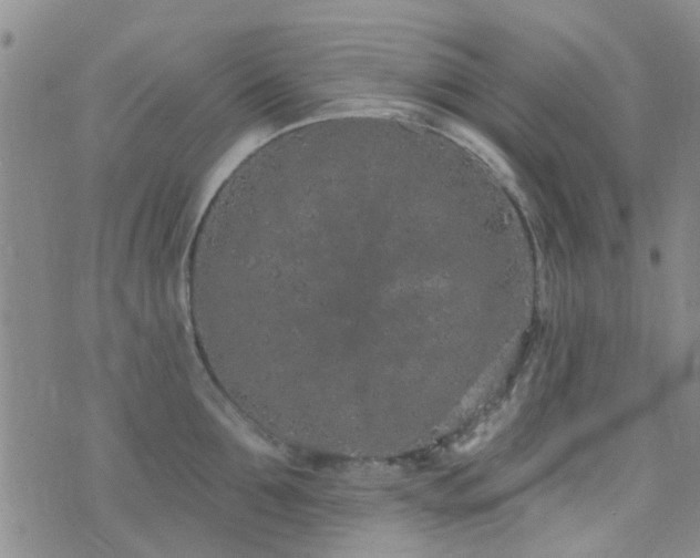 X0000073710907200608031236