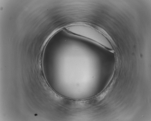 X0000073710908200608031236