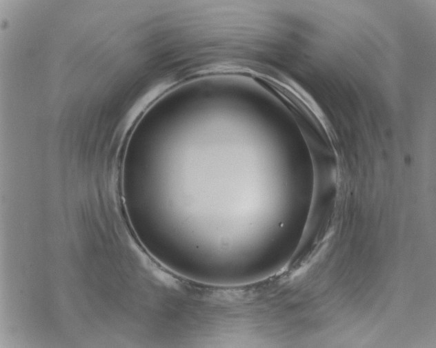 X0000073710909200608031236