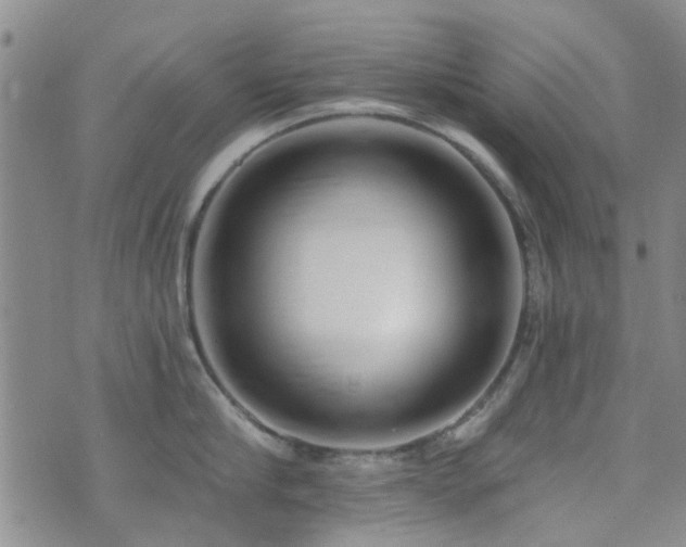 X0000073710910200608031236