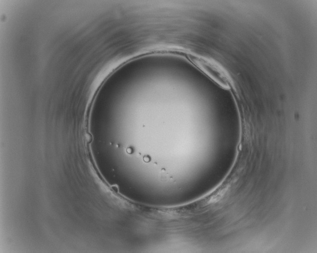 X0000073710911200608031236