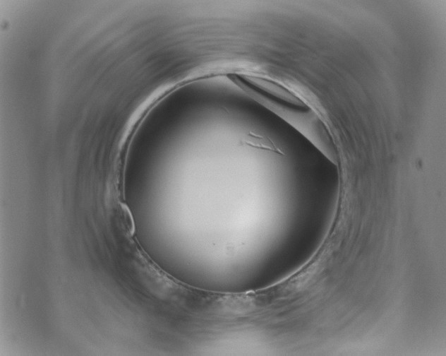 X0000073710912200608031236