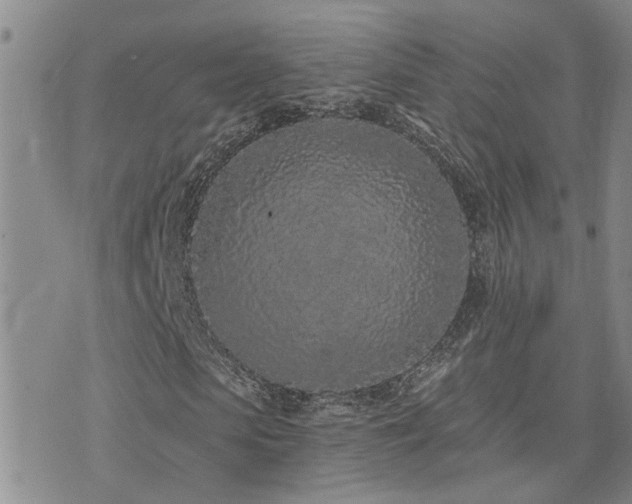 X0000073710913200608031235