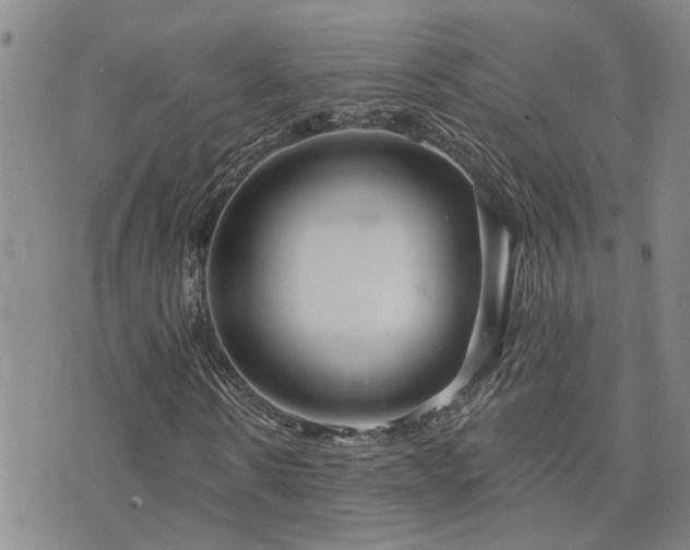 X0000073710914200608031235