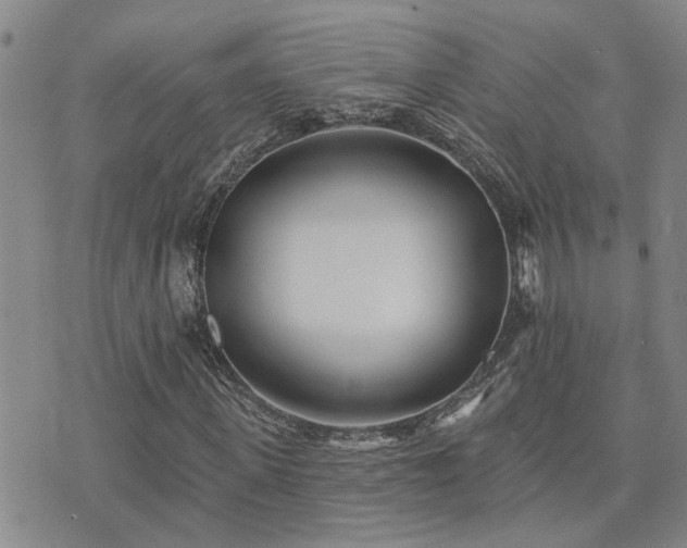 X0000073710915200608031235