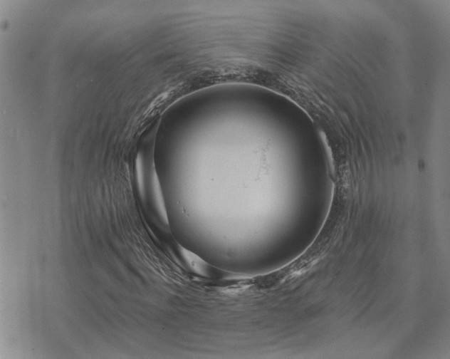 X0000073710916200608031236