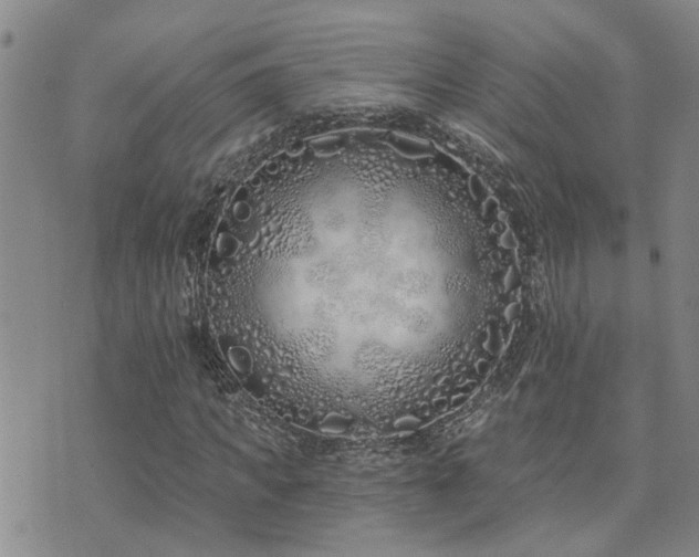 X0000073710917200608031236