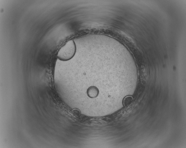 X0000073710918200608031236