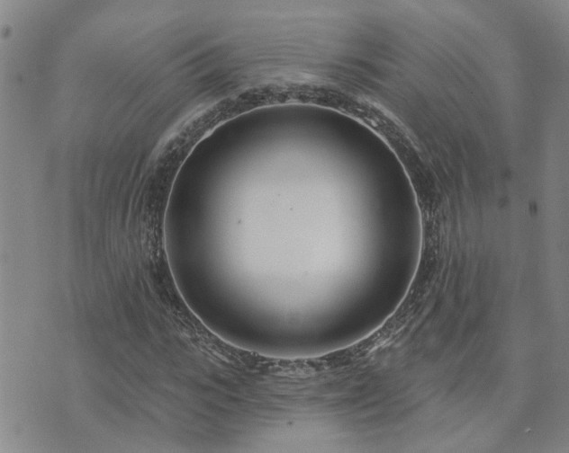 X0000073710919200608031236