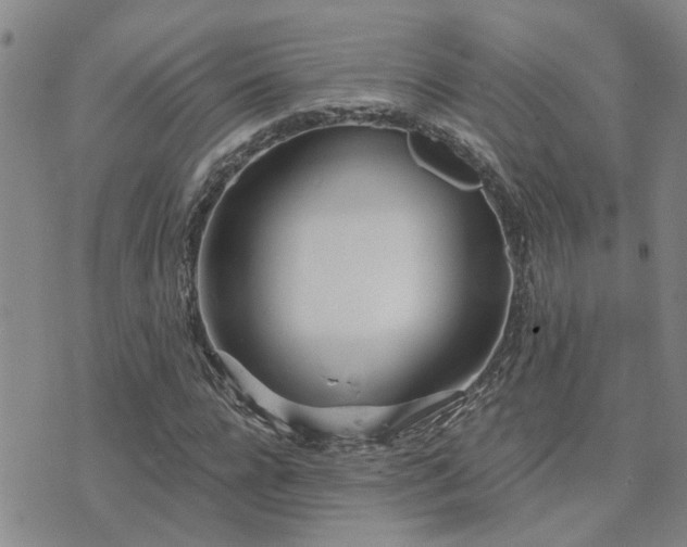 X0000073710920200608031236