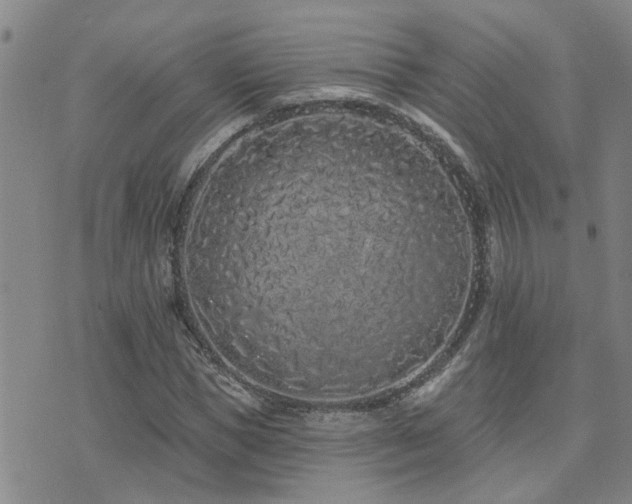 X0000073710921200608031236