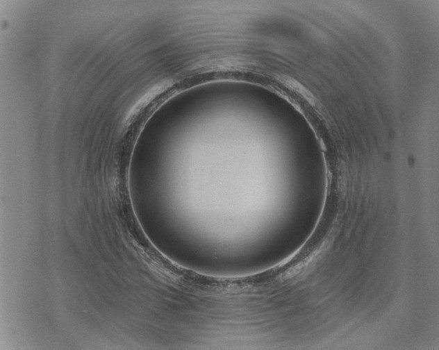 X0000073710922200608031236