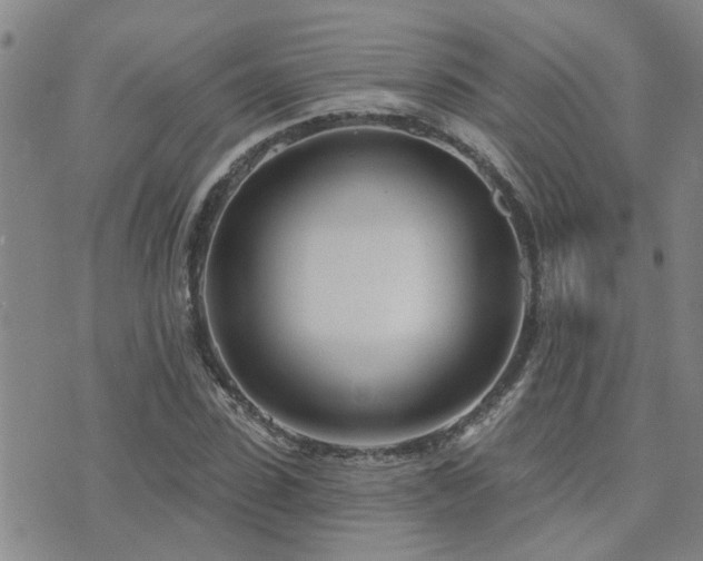 X0000073710923200608031236