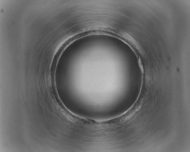 X0000073710924200608031236