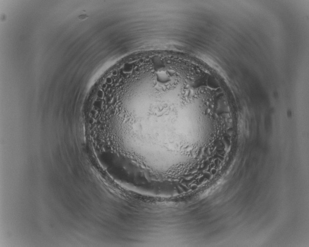 X0000073710925200608031236